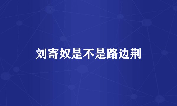 刘寄奴是不是路边荆