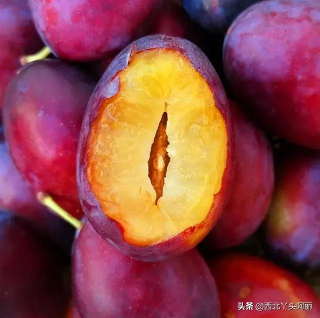 智利西梅好还是澳洲西梅好?