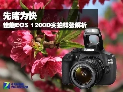 先睹为快 佳能EOS 1200D实拍样张解析