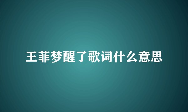 王菲梦醒了歌词什么意思