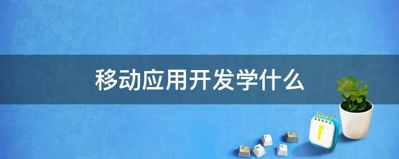 移动应用开发学什么