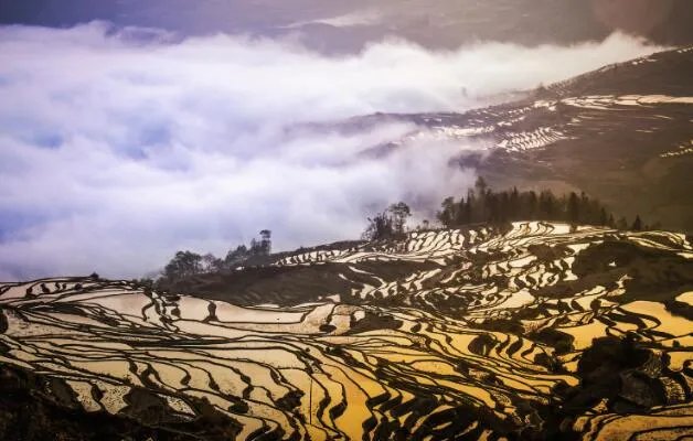 3月份去哪里旅游最好国内 三月国内旅游好去处推荐