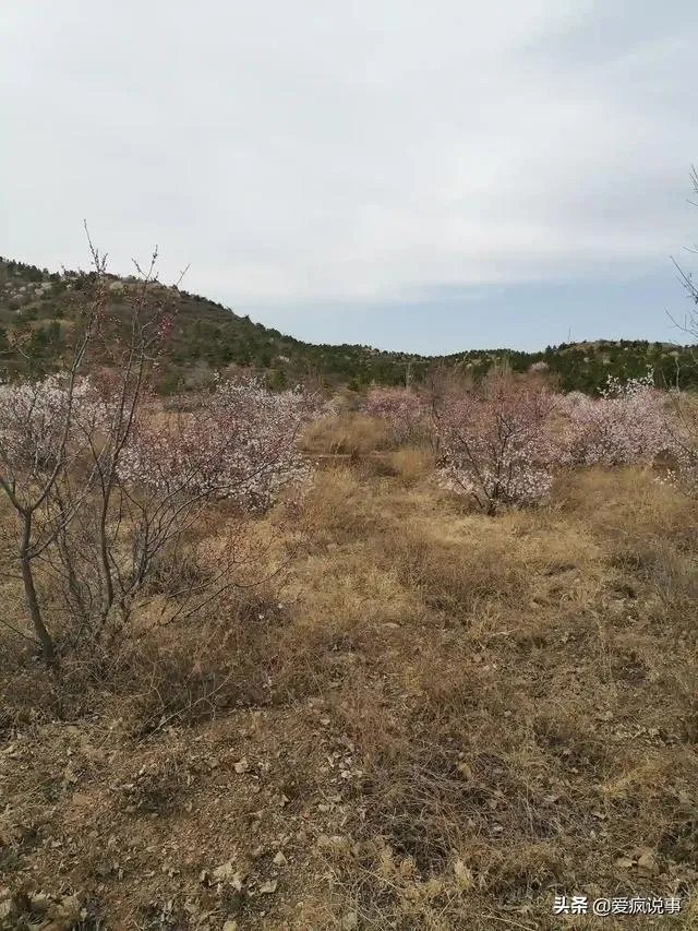 今年五一连休5天,2020年5月1日-5日,你敢不敢出去旅游?为什么?