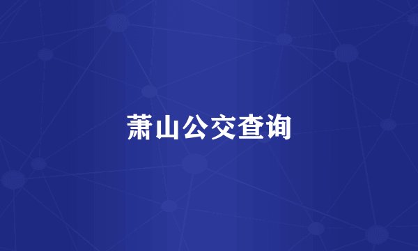 萧山公交查询