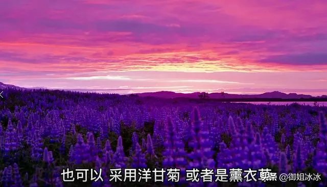 新鲜花如何自己提取纯露?