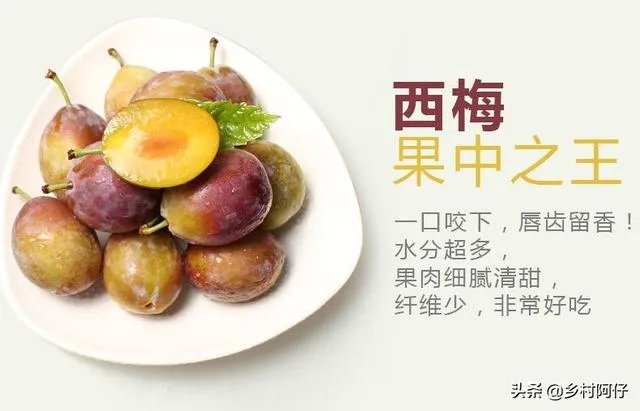 智利西梅好还是澳洲西梅好?