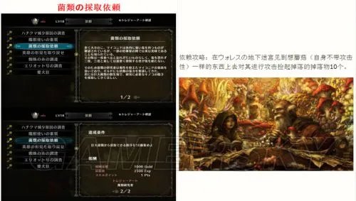 《龙之皇冠》全任务图文攻略