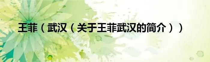王菲（武汉（关于王菲武汉的简介））