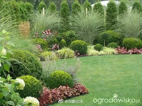 原创:花境按植物材料的分类及各自优缺点