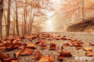 相亲结婚的都过得好吗？