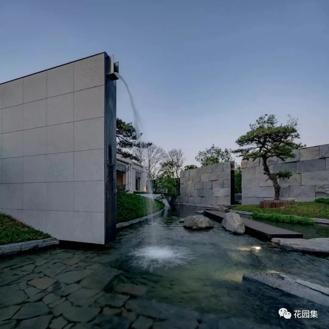 造型松，无奇不自由！气质庭院必备元素