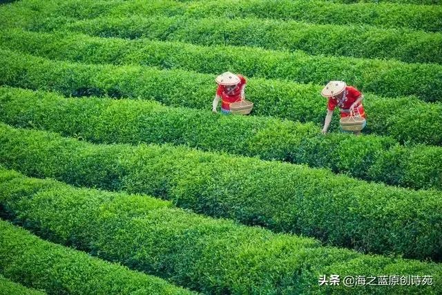 没有一个冬天不可逾越没有一个春天不会来临是什么意思？ - 芝士回答