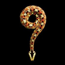 犀咝蝰的生活习性