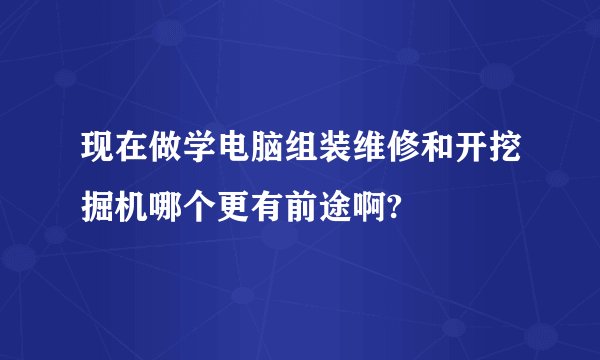 现在做学电脑组装维修和开挖掘机哪个更有前途啊?