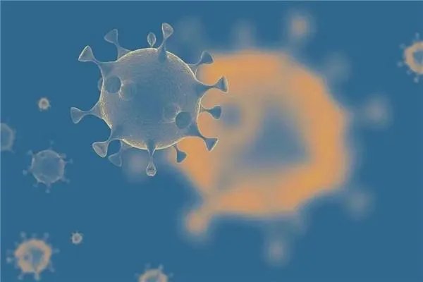 国产新冠灭活疫苗预计12月底上市，其保护率达到多少？