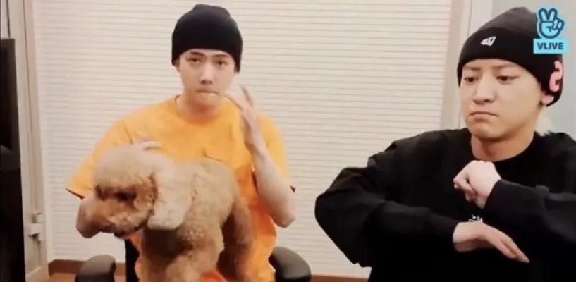 吴世勋朴灿烈跳张艺兴的莲 张艺兴和EXO关系怎么样