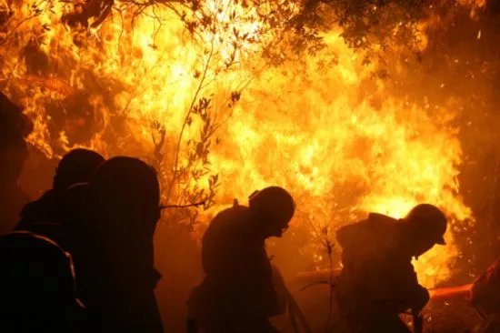 四川省九龙县发生森林火灾，如何有效预防森林火灾的发生？