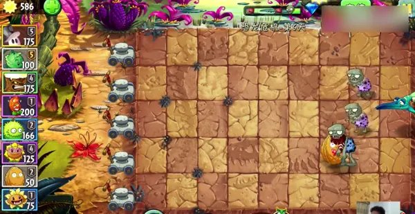 植物大战僵尸中的坚果愈合术怎么用？