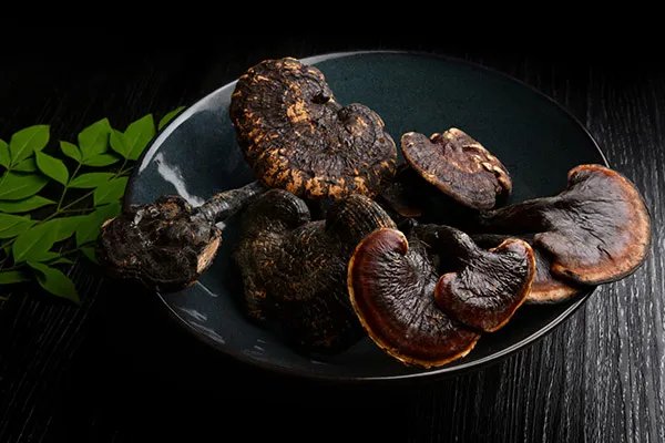 灵芝是年份越久功效越好吗