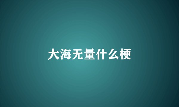 大海无量什么梗