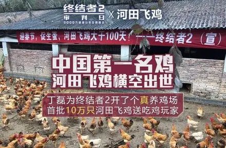 养猪大户丁磊养鸡，他会成功吗？