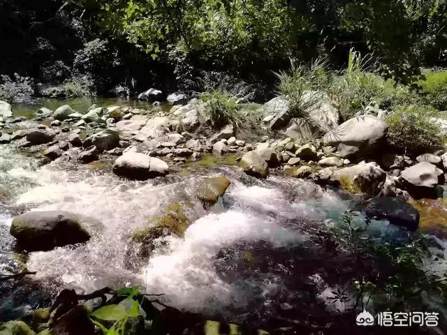 广东省从化市石门国家森林公园好玩吗？从广州市区怎么去？