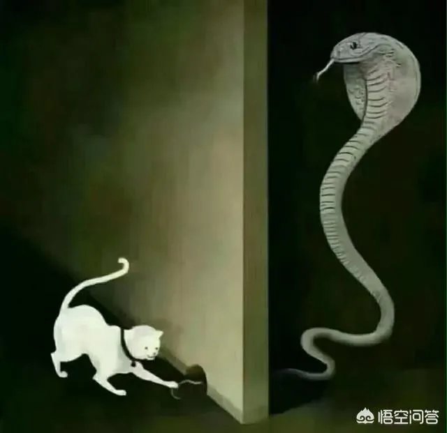 高鑫零售 战略规划