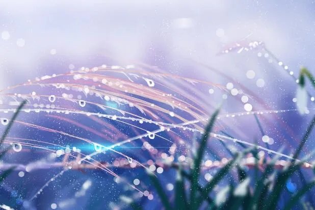 白露的寓意是什么意思