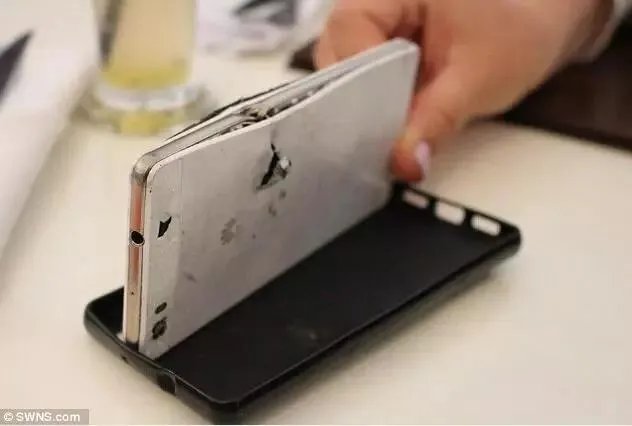 龟壳可以防御子弹吗