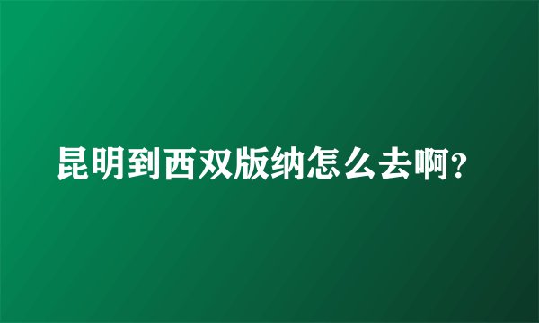 昆明到西双版纳怎么去啊？