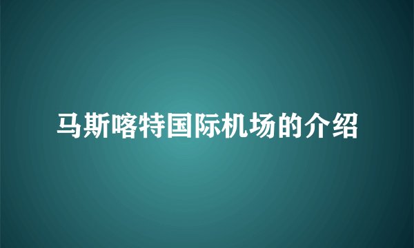 马斯喀特国际机场的介绍