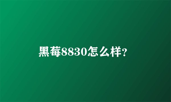 黑莓8830怎么样？