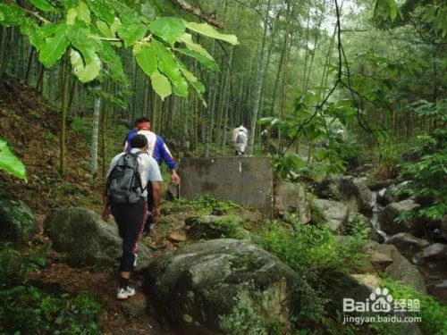 娱乐节目停播5天了怎么办干什么