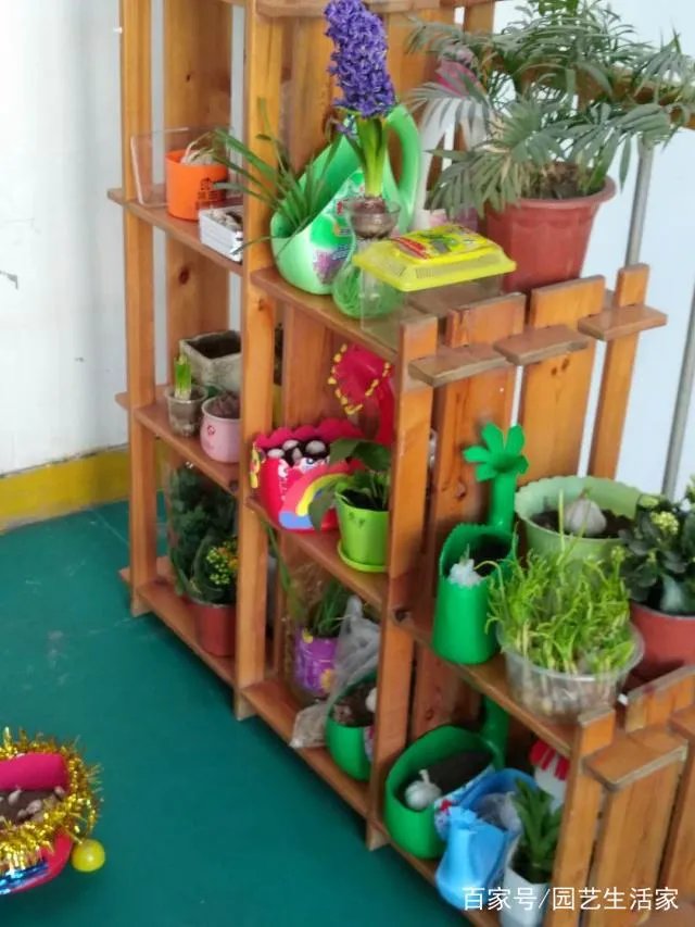 洗衣液瓶子做花盆制作方法图片