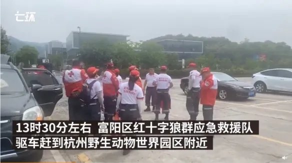 杭州3只金钱豹出逃已追回1只 大量特警加入搜寻