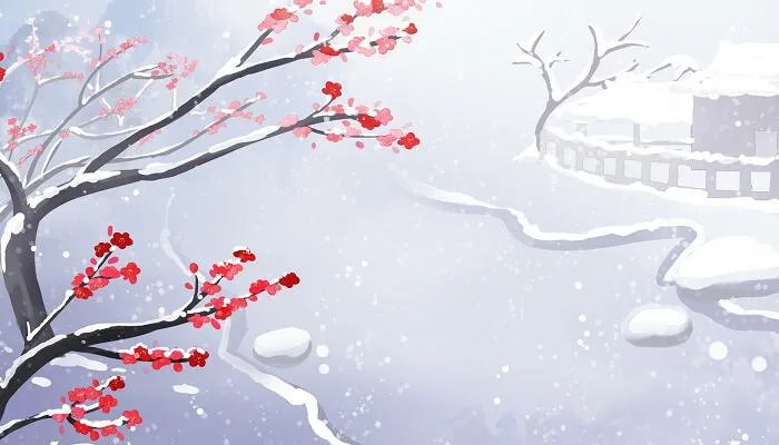 数九寒天的意思是什么 数九寒天是什么意思