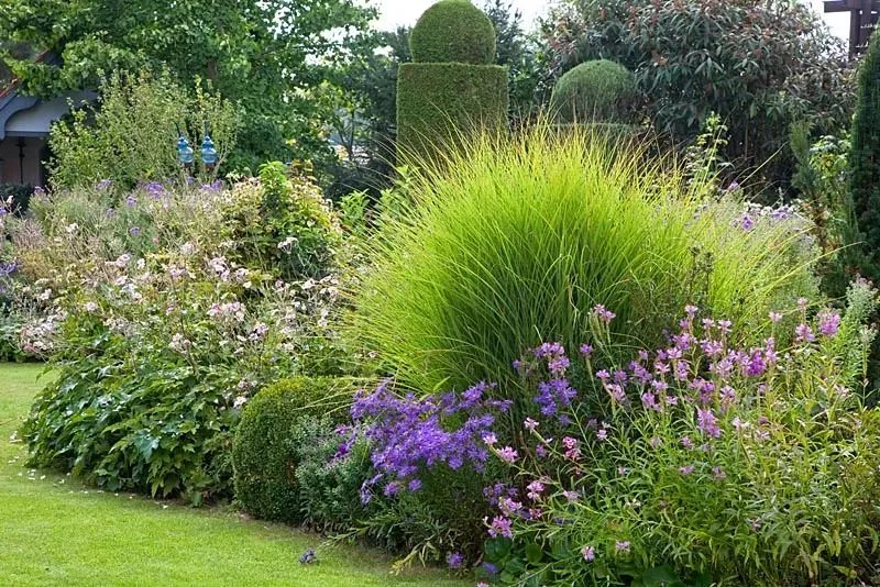 原创:花境按植物材料的分类及各自优缺点
