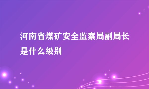 河南省煤矿安全监察局副局长是什么级别