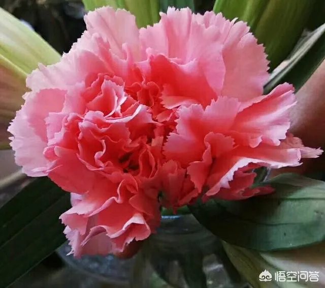 512母亲节，勇敢表达对妈妈的爱！你有哪些想说又羞于表达的暖心话？