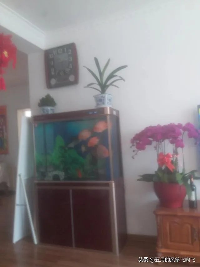 出售二手房哪个网站靠谱？