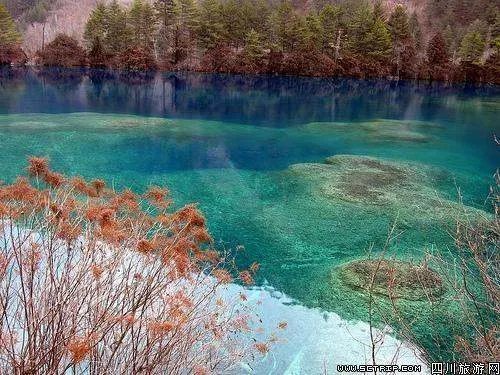 九寨沟火花海都决堤了，是怎么恢复的？