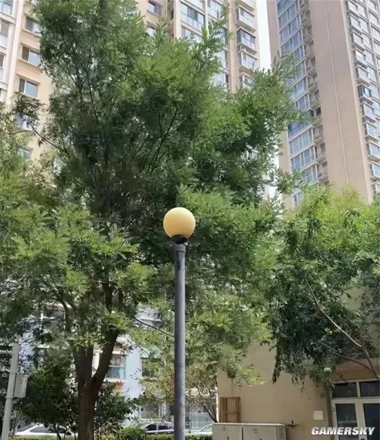 一图概括网络上90%的大长腿 字母了就不分手的囧图