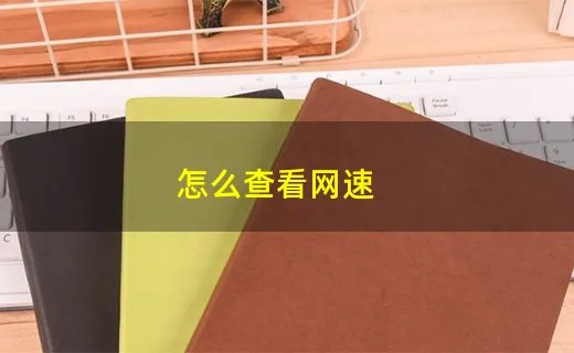 怎么查看网速