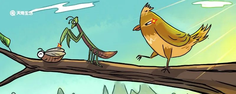 螳螂捕蝉的道理