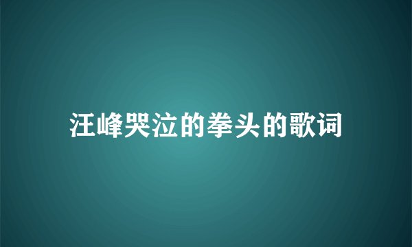 汪峰哭泣的拳头的歌词