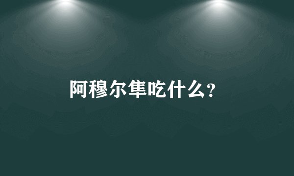 阿穆尔隼吃什么？