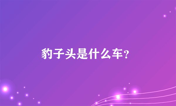豹子头是什么车？