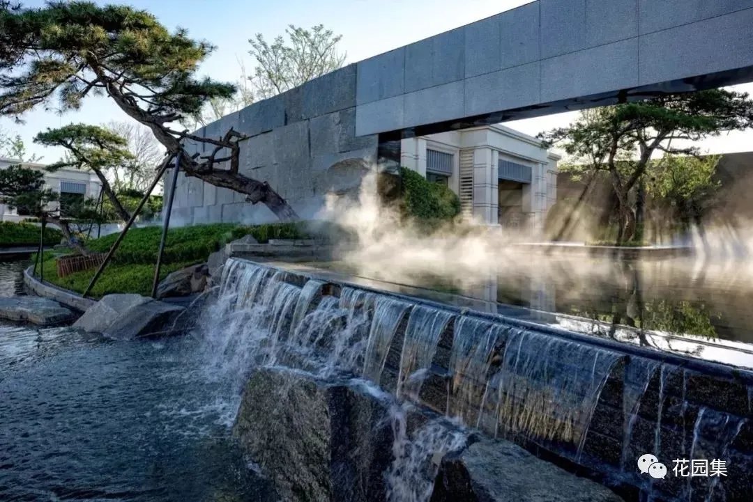 造型松，无奇不自由！气质庭院必备元素