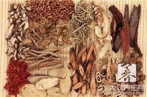 穿山甲用量用法