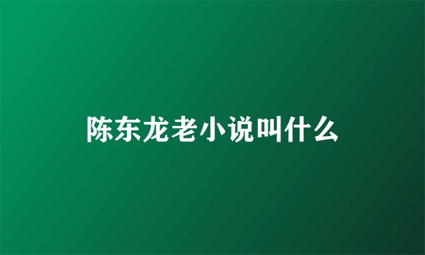 陈东龙老小说叫什么